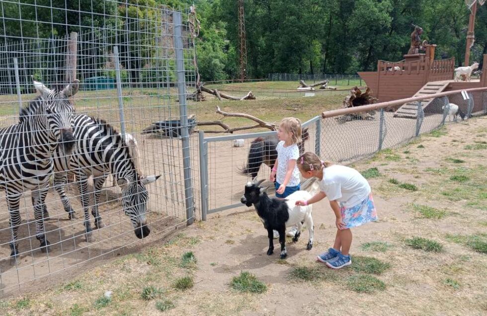Zoopark Zoopark Karlštejn: Ideální místo pro výlet s dětmi - NAŠE Dobříšsko