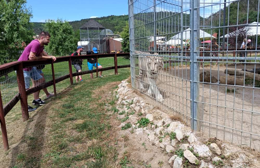 Zoopark Zoopark Karlštejn: Ideální místo pro výlet s dětmi - NAŠE Dobříšsko